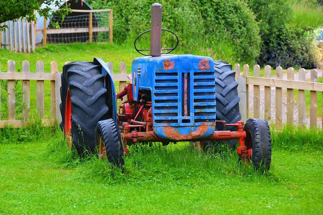 Alter blauer Traktor mit Rostflecken am Kühlergrill steht im Gras vor einem hellen Holzzaun, hinten große Ackerreifen